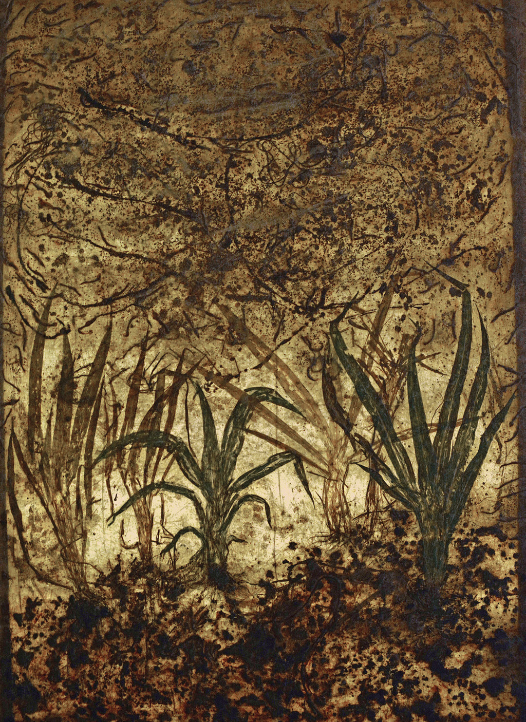 Jayshree Chakravarty