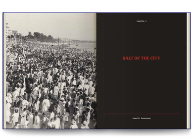 Photographing Civil Disobedience
