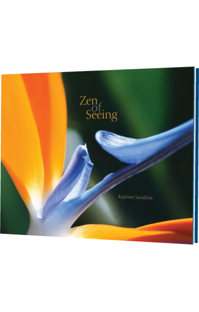 Zen of Seeing