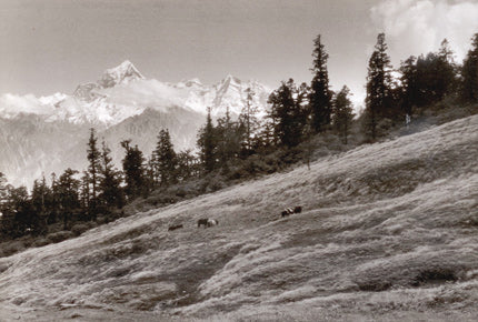 Himalayan Vignettes