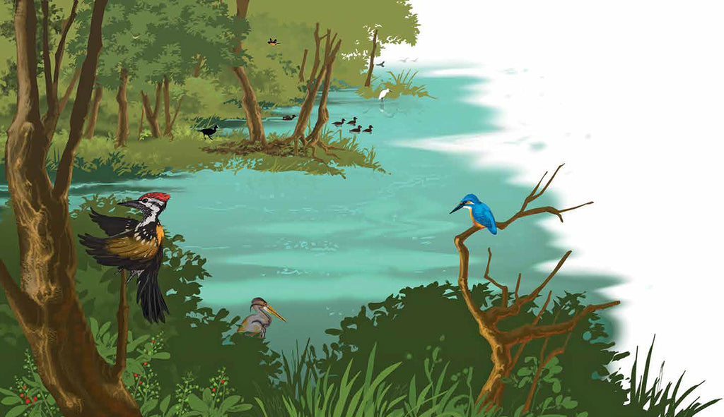 Keoladeo Bird Sanctuary