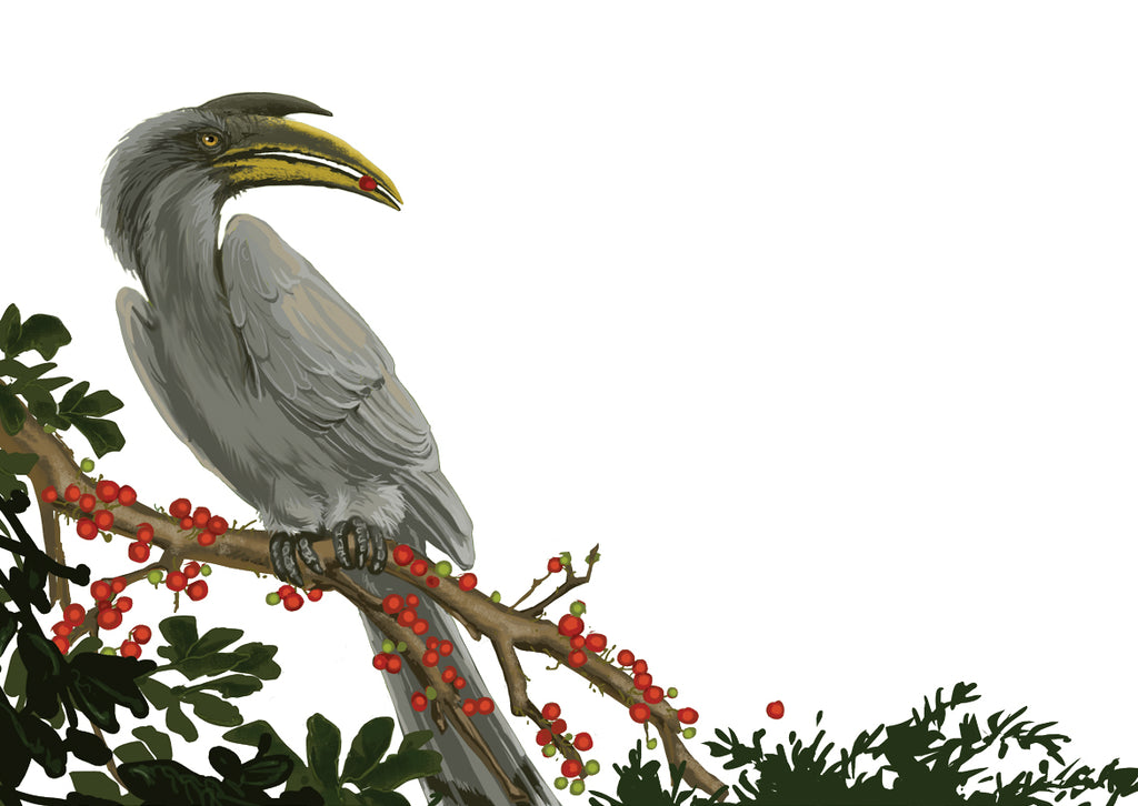 Keoladeo Bird Sanctuary