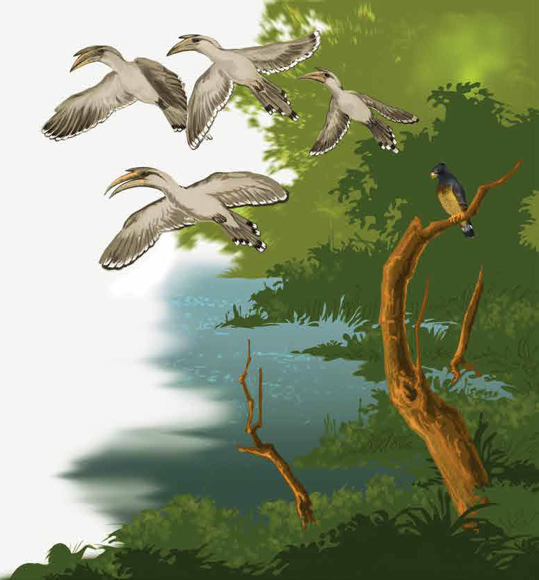 Keoladeo Bird Sanctuary