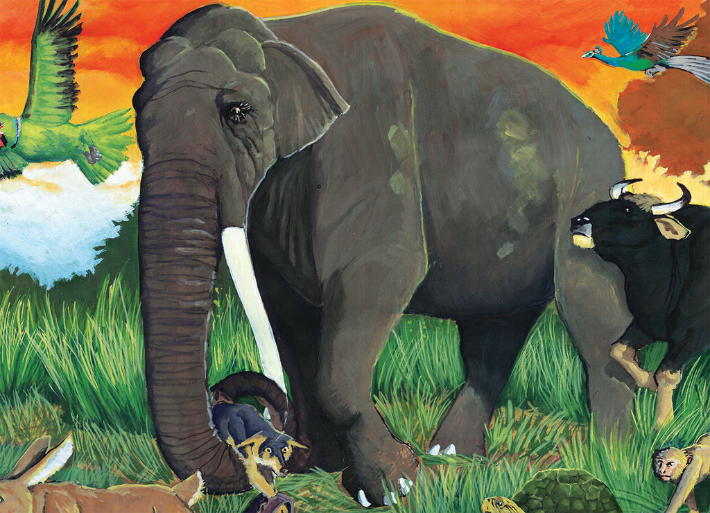 Rajah – King of The Jungle (HC)