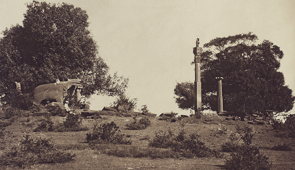 The Waterhouse Albums