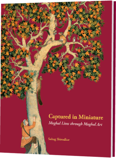 Captured in Miniature (HC-PLC)