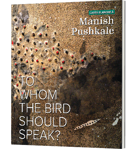 Carte Blanche à Manish Pushkale