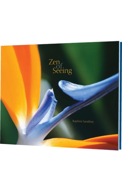 Zen of Seeing