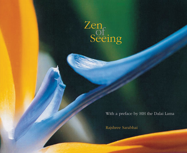 Zen of Seeing
